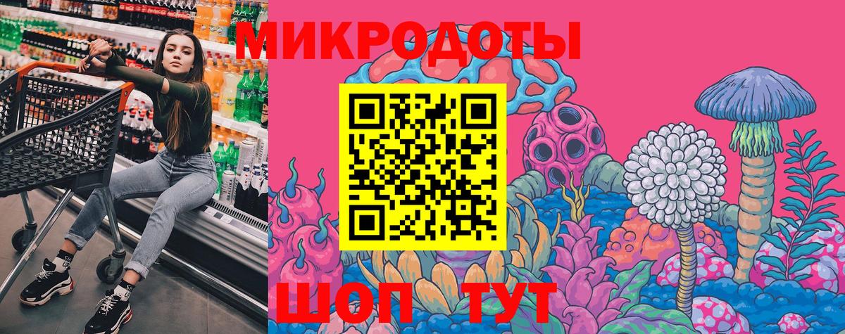 Галлюциногенные грибы MAGIC MUSHROOMS  Вход с VPN  Камышлов 