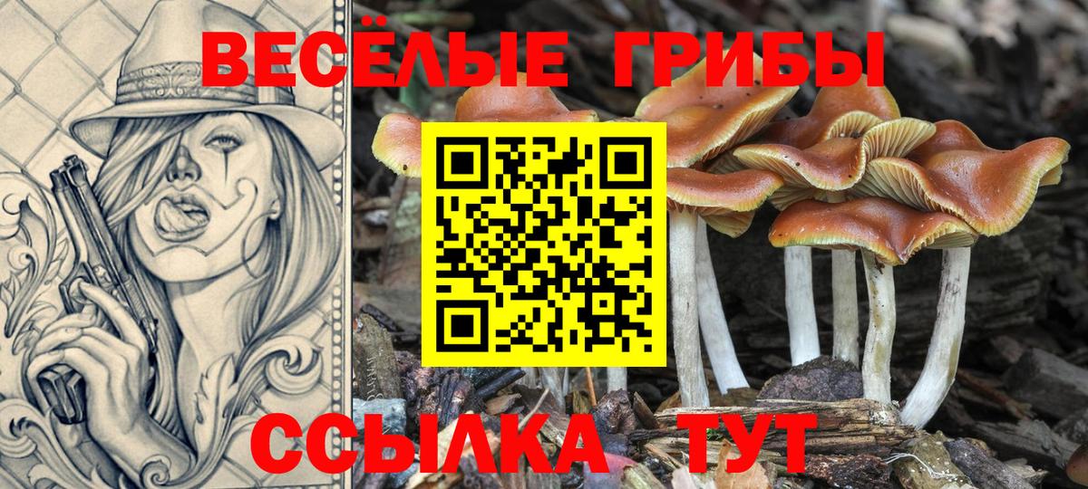 Галлюциногенные грибы ЛСД Камышлов
