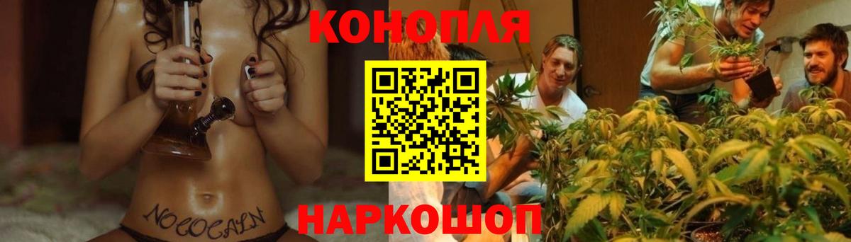 Бошки марихуана VHQ  Бошки Шишки Bruce Banner  Камышлов  Вход с VPN 
